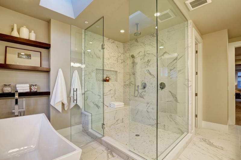 Elegant Shower with Niche